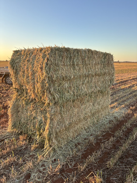  Oaten Hay 650+ 8x4x3 Bales (New Season)
