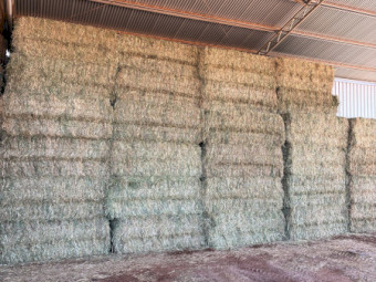  Oaten Hay 650+ 8x4x3 Bales (New Season)