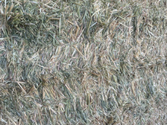 100mt Oaten Hay 8x4x3 Bales (New Season)