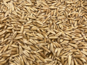88mt Matika Milling Oats