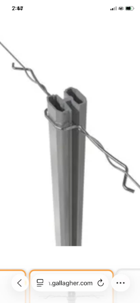 Gallagher I posts 165cm and clips 