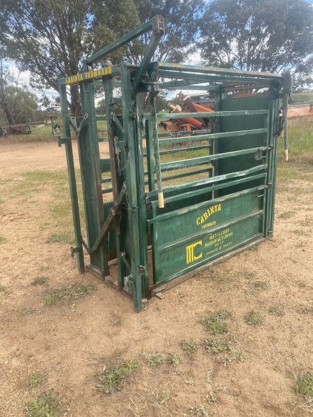 Cattle Crush