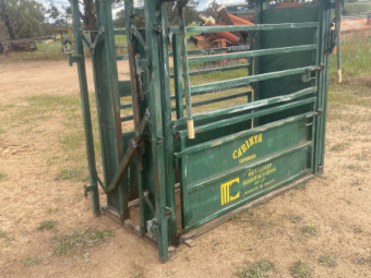 Cattle Crush