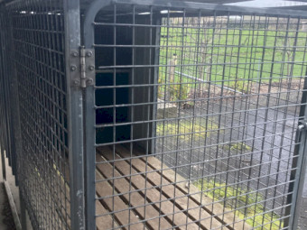 Raised Dog Kennel x 2