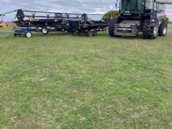 2008 Gleaner A85 Harvester