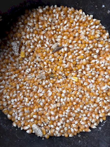 27MT Popcorn