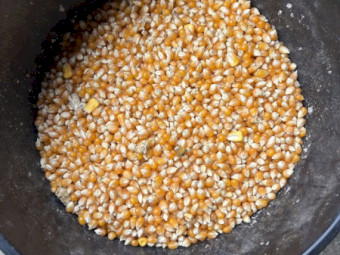 27MT Popcorn
