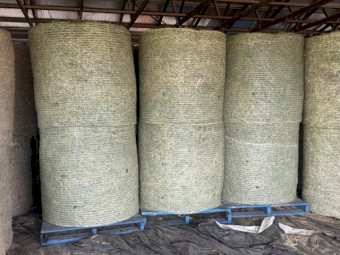 Prime Lucerne Rounds 4x4  Baled Fire Ant Free Area.