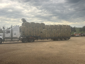 Prime Lucerne Rounds 4x4  Baled Fire Ant Free Area.