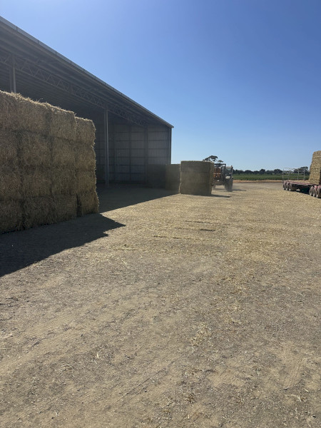 500mt Oaten Hay 660kg 8x4x3 Bales (New Season)