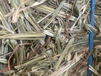 500mt Oaten Hay 660kg 8x4x3 Bales (New Season)