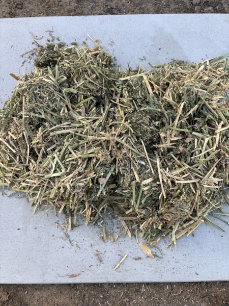Lucerne Hay Round Bales x 120