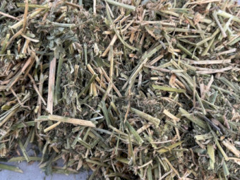 Lucerne Hay Round Bales x 120