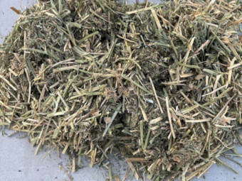 Lucerne Hay Round Bales x 120
