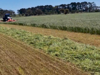 Mower Conditioner Service Available