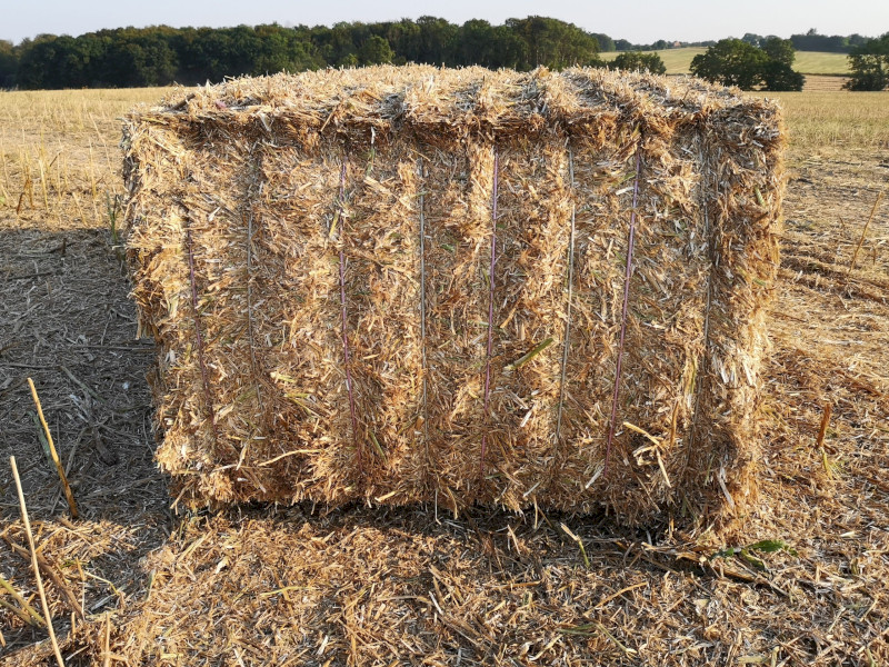 WANTED Looking for Straw to Bale