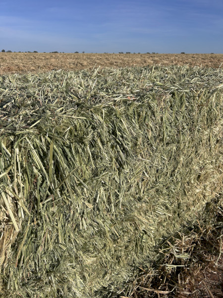 New Season Oaten Hay