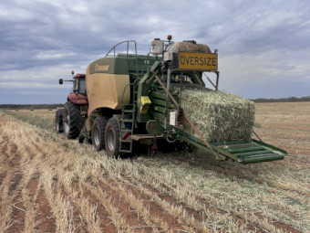 New Season Oaten Hay