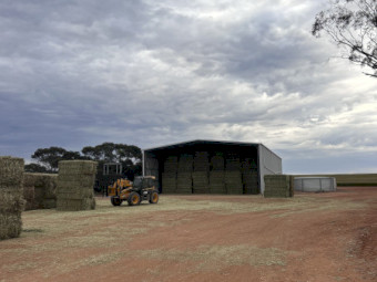 New Season Oaten Hay