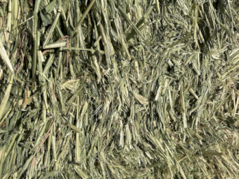 New Season Oaten Hay