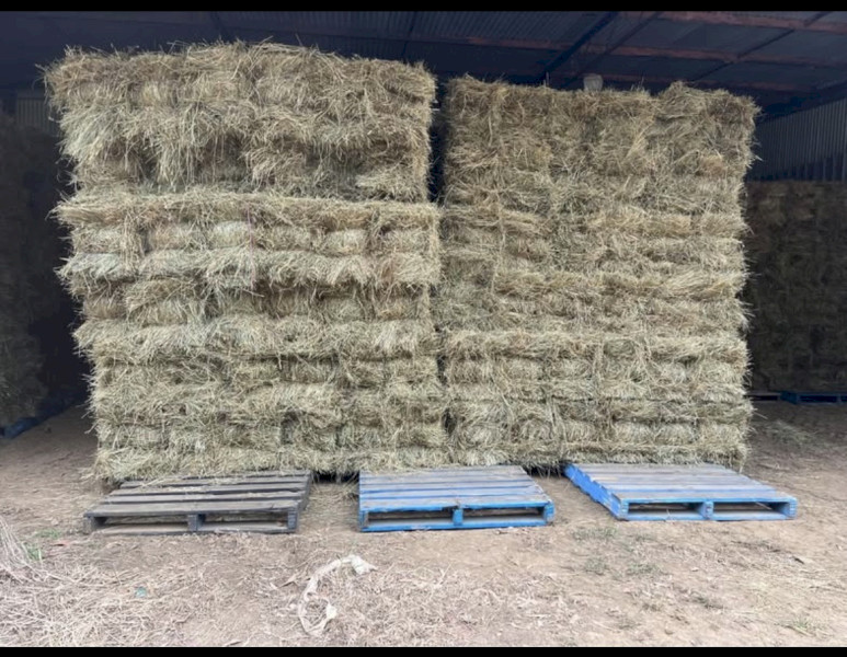 Small square bails