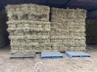 Small square bails