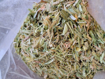 2026 barley hay