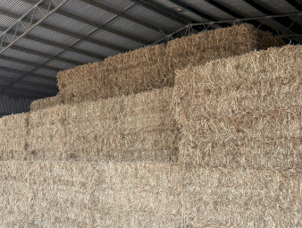 Oaten Hay (New Season)