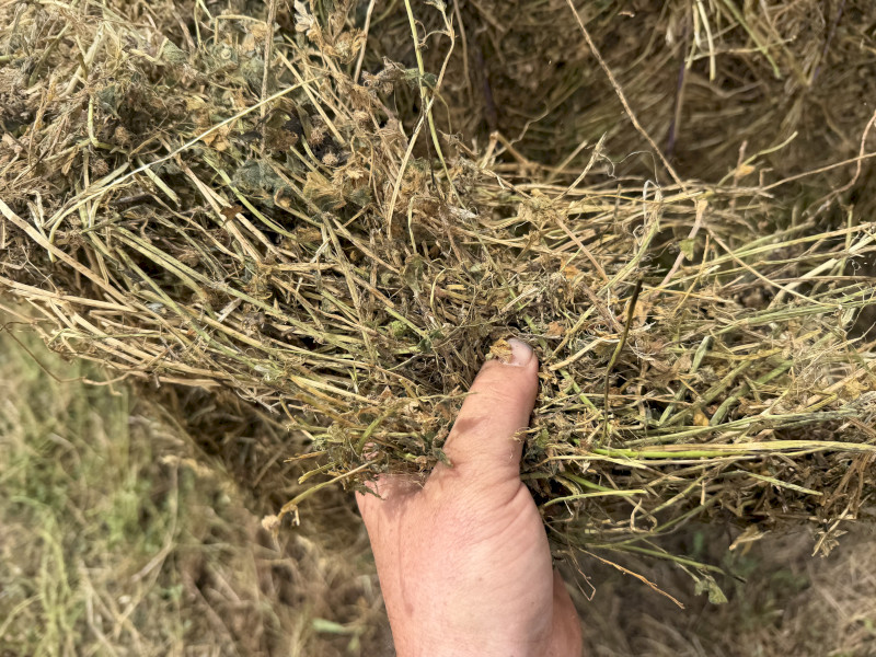 2026 clover/rye hay 8x4x3 