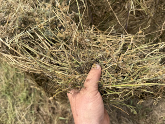 2026 clover/rye hay 