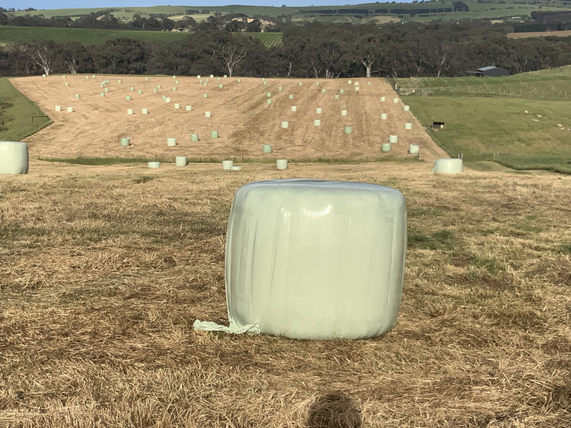 Silage 2026 Oates 