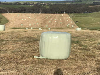 Silage 2026 Oates 