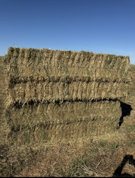 Clover, Vetch, Rye and Barley Hay 700kg 8x4x3 Bale