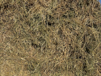 Clover, Vetch, Rye and Barley Hay 700kg 8x4x3 Bale