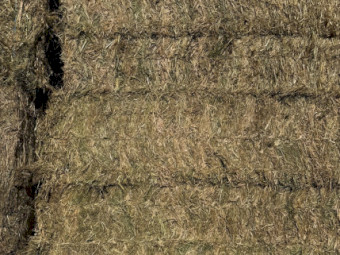Clover, Vetch, Rye and Barley Hay 700kg 8x4x3 Bale