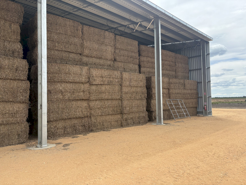 38mt Vetch Hay 560kg 8x4x3 Bales (New Season)