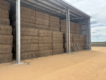 38mt Vetch Hay 560kg 8x4x3 Bales (New Season)