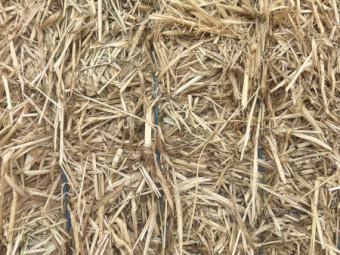 100mt Barley Hay 8x4x3 Bales (New Season)