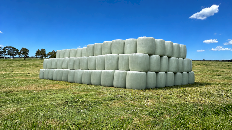 4ft Wrapped Round Silage Bales – Koo Wee Rup