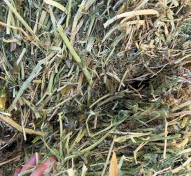 Pea hay