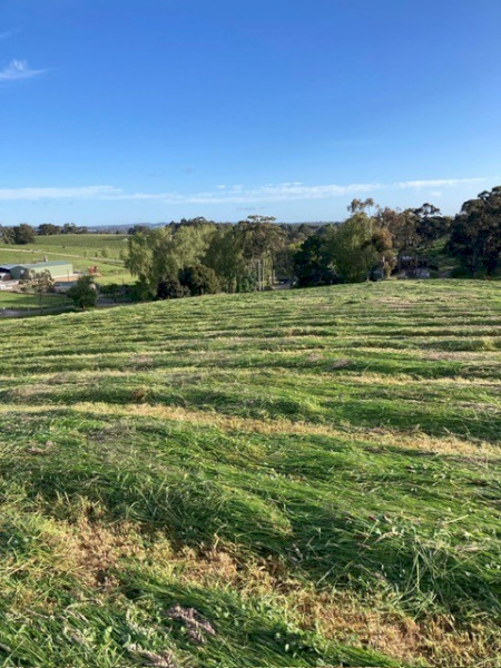 2026 Ryegrass and clover silage