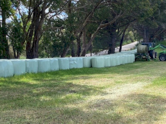 2026 Ryegrass and clover silage