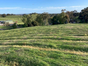 2026 Ryegrass and clover silage