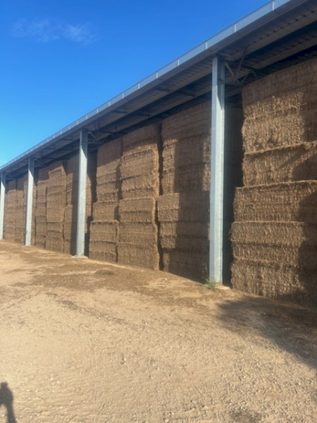 Vetch hay 
