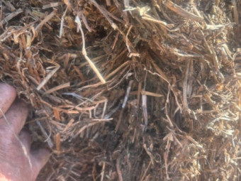 Vetch hay 