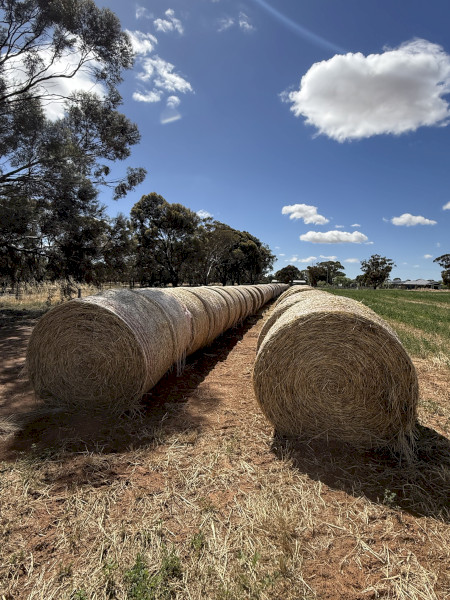 Round Bale Lucerne, Clover and Rye grass Bales