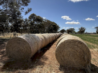 Round Bale Lucerne, Clover and Rye grass Bales