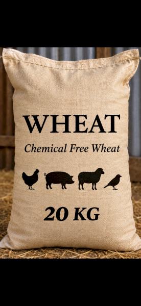 20 kg wheat bags. Chemical Free