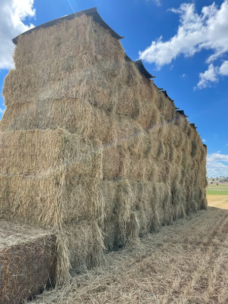 Wheaten Hay for sale just made in October this year