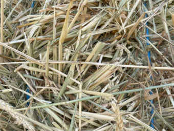 Wheaten Hay for sale just made in October this year